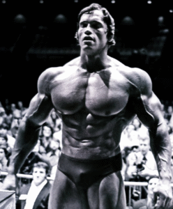 arnold schwarzenegger bodybuilder